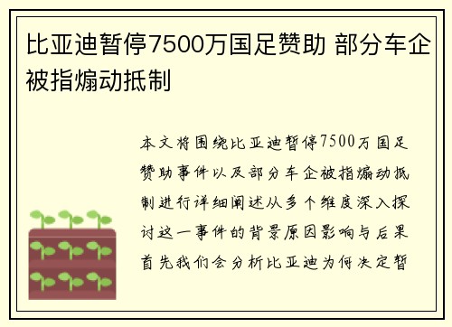 比亚迪暂停7500万国足赞助 部分车企被指煽动抵制