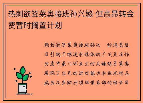 热刺欲签莱奥接班孙兴慜 但高昂转会费暂时搁置计划